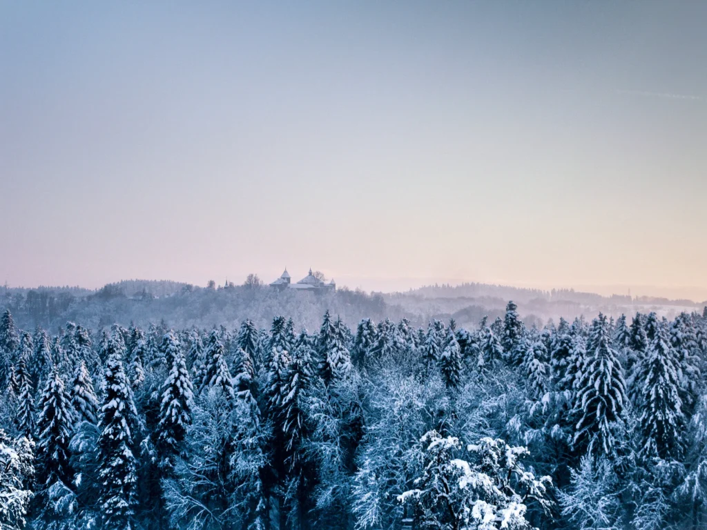 Castle In The Snow