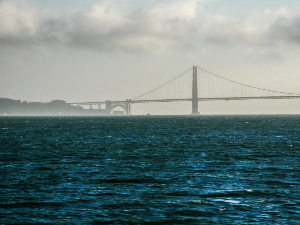Misty Shores